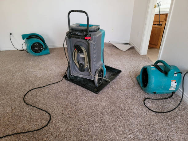 Best Basement water damage restoration  in Velda City, MO