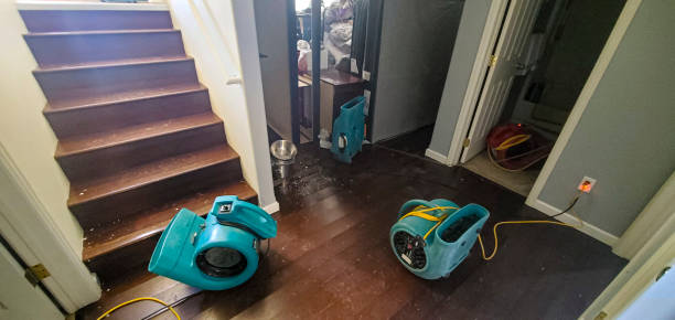 Best Basement water damage restoration  in Velda City, MO