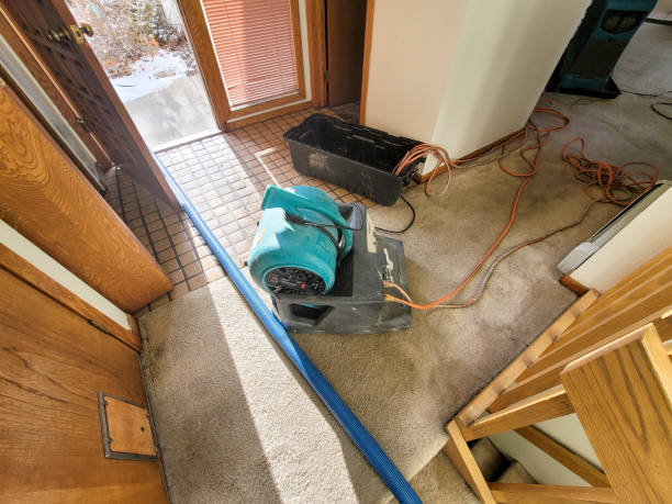 Best Local water damage restoration  in Velda City, MO