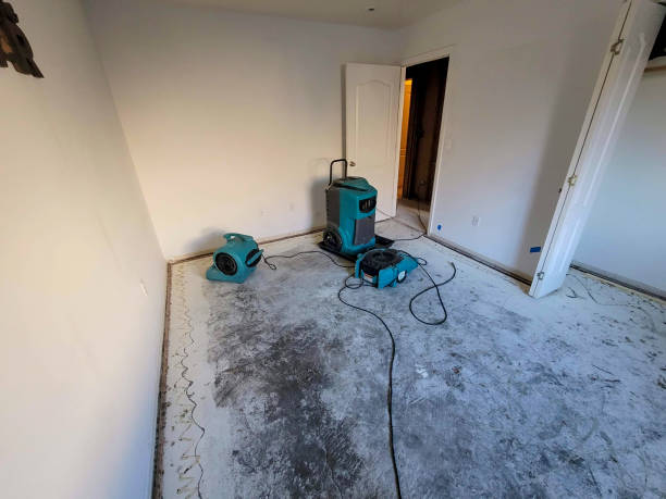 Best Water damage cleanup near me  in Velda City, MO