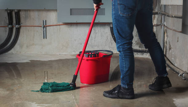 Best Carpet water damage restoration  in Velda City, MO