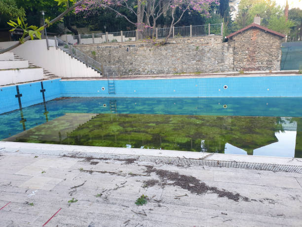 Best Flood restoration services  in Velda City, MO