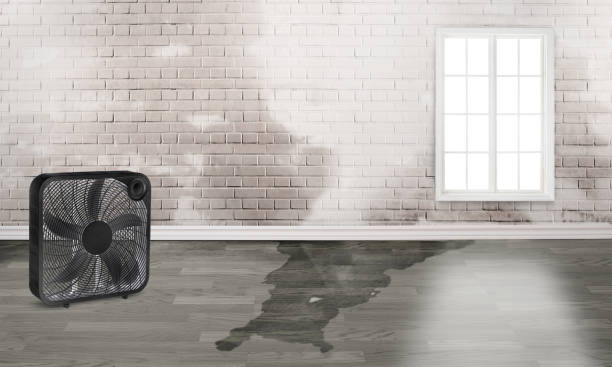 Best Emergency water damage restoration  in Velda City, MO
