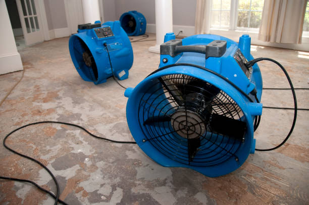 Best Flooded house restoration  in Velda City, MO