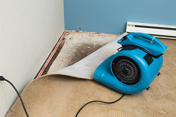 Best Commercial water damage restoration  in Velda City, MO